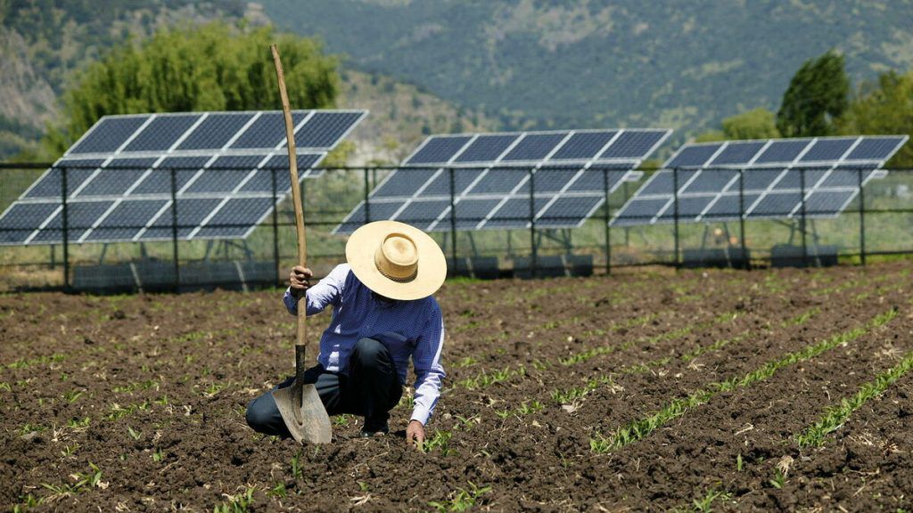 El Cabildo de Gran Canaria invierte un millón para implantar energías renovables en el sector primario