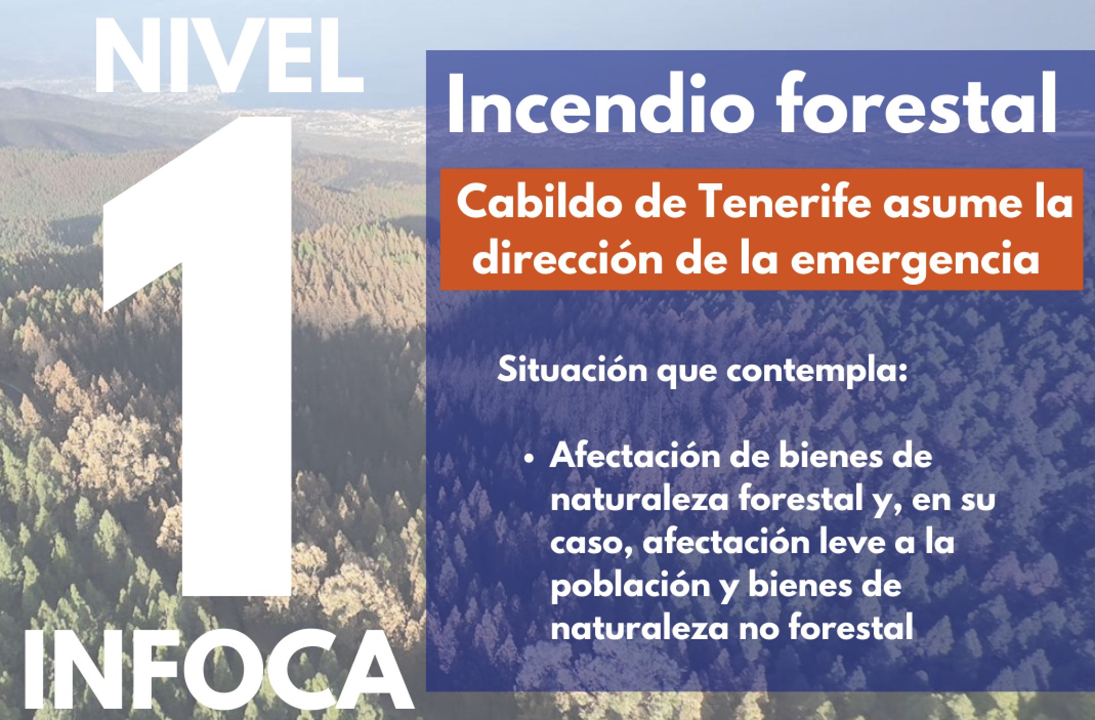 El incendio forestal de Tenerife baja a nivel 1 del INFOCA