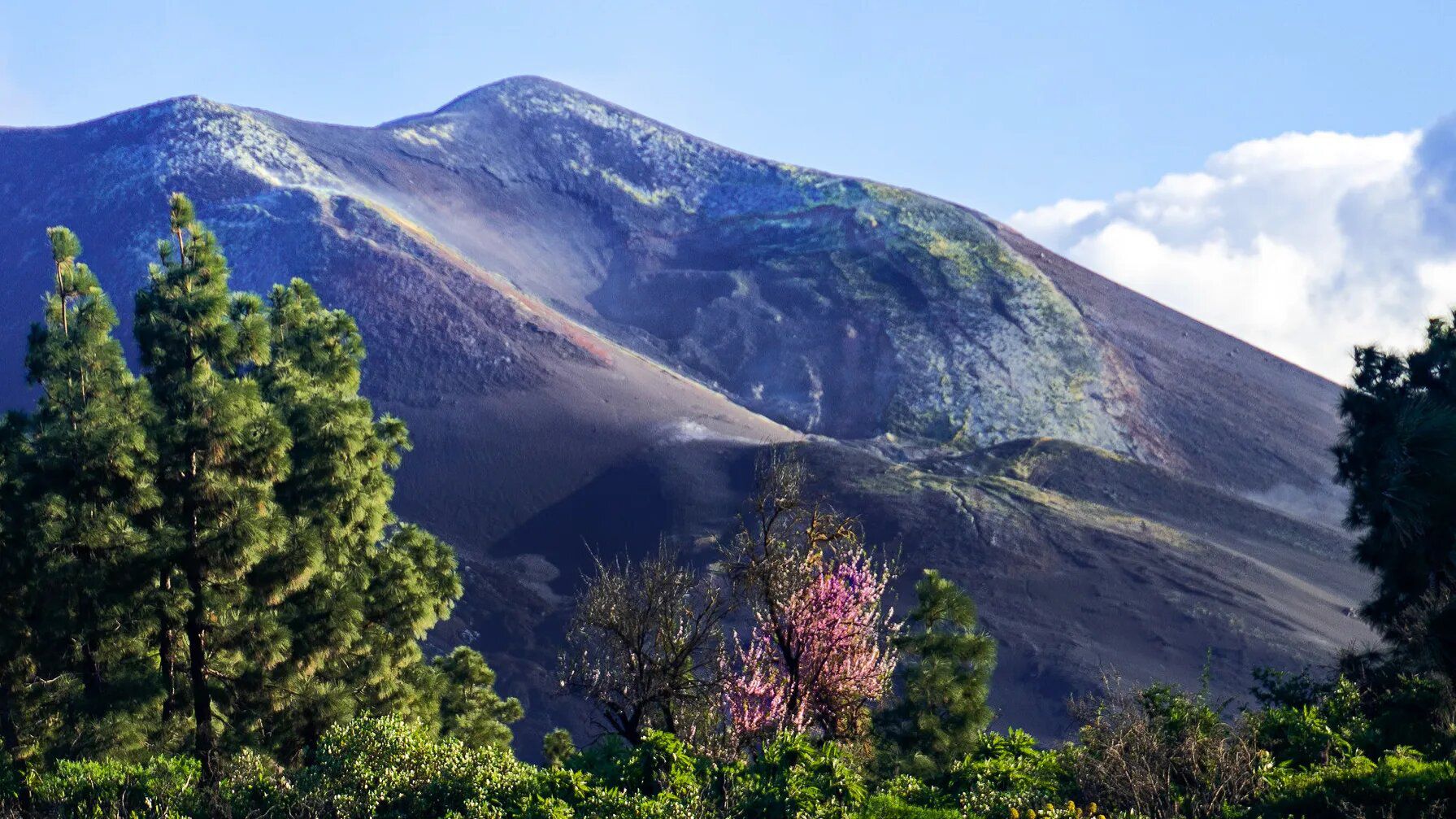 Los ciudadanos eligen el nombre para el volcán de La Palma: Volcán de Tajogaite