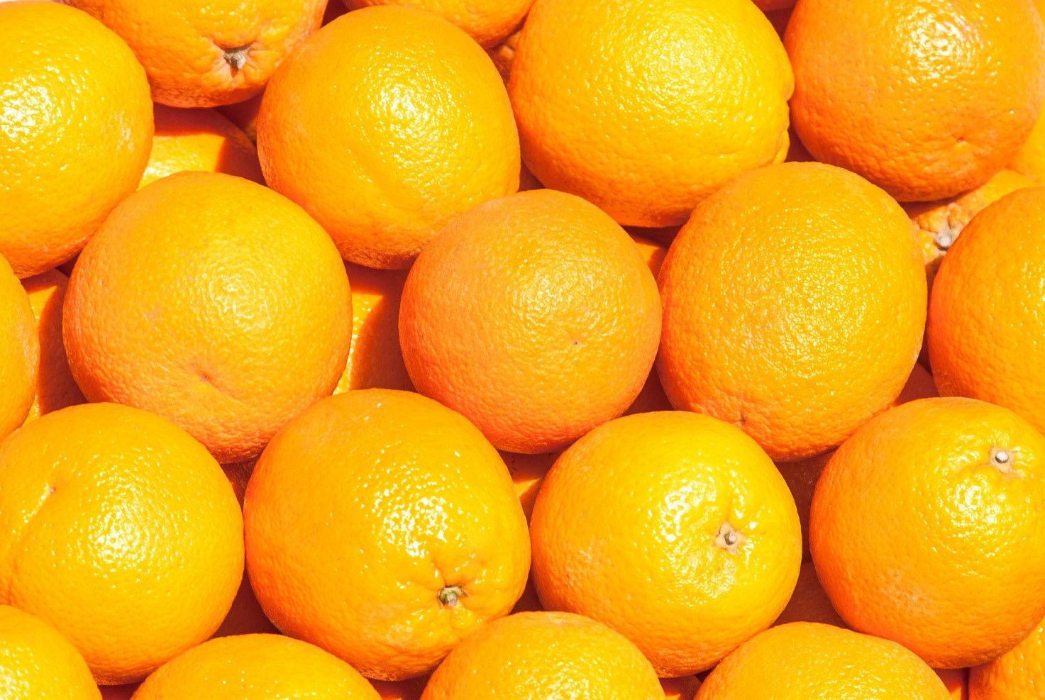 MERCADONA prevé comprar 200.000 toneladas de Naranjas y Mandarinas de Origen España.