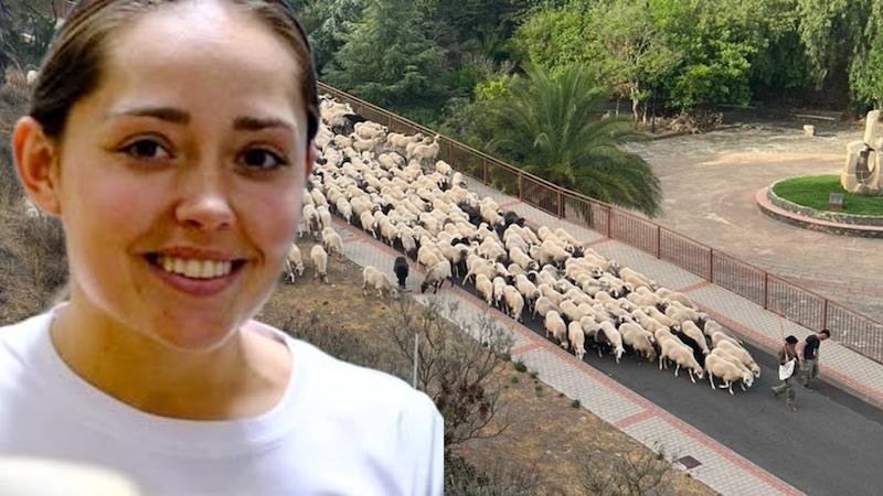 Belén Mendoza: «La trashumancia sigue marcando el pulso del verano en las cumbres»