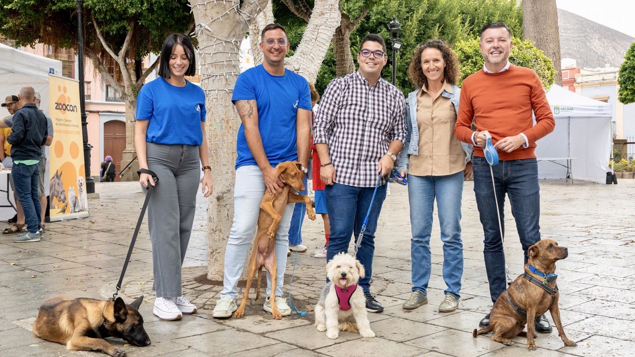 El bienestar animal triunfa en la Plaza de Santiago en Gáldar