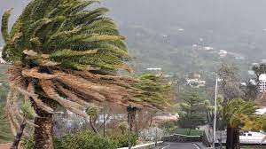El Gobierno de Canarias declara la situación de alerta por viento en La Palma y Tenerife