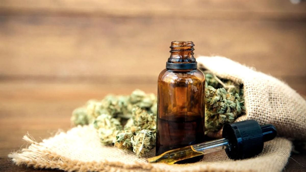 Luz verde al dictamen sobre el uso medicinal del cannabis