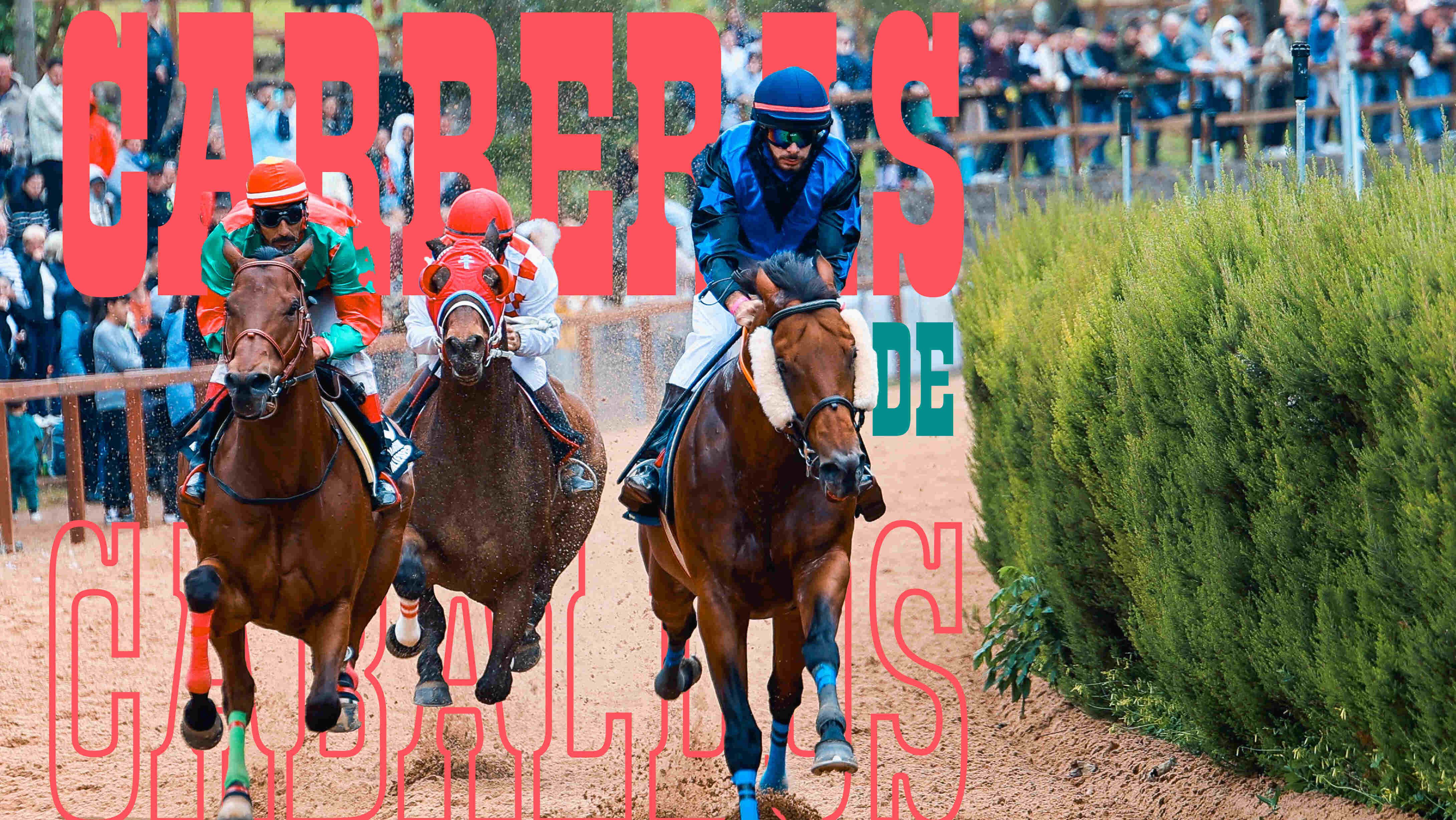 El espectáculo de las carreras de caballos regresa este domingo al hipódromo de La Laguna de Valleseco