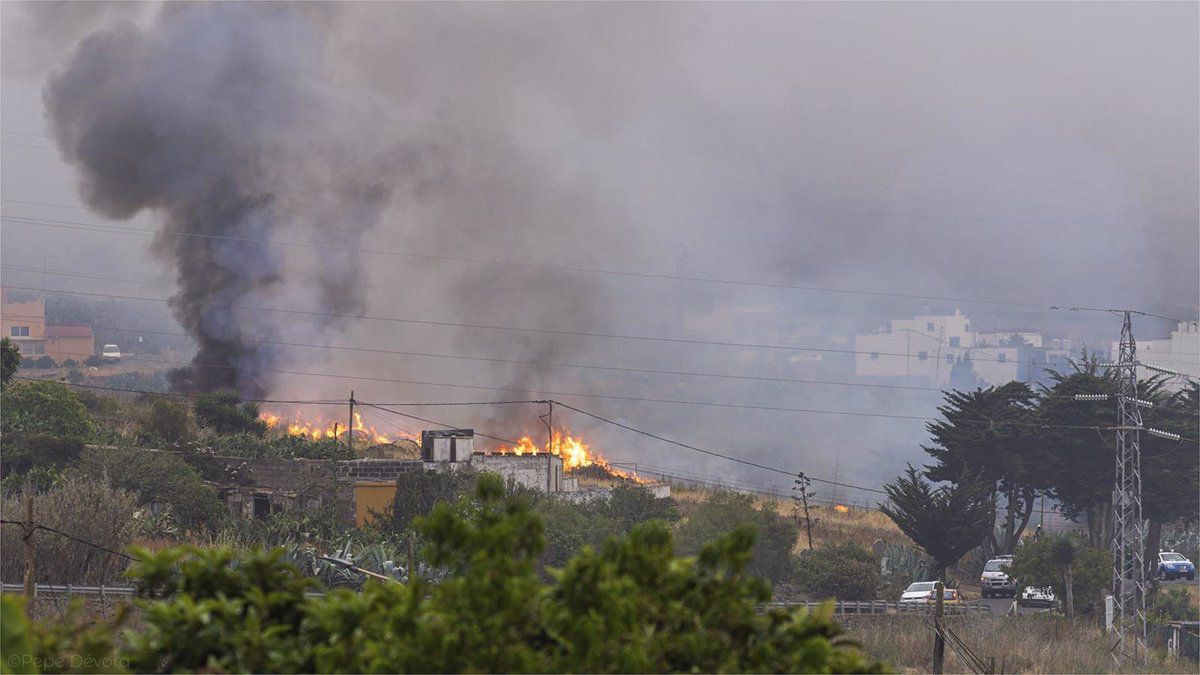 Conato de incendio en una zona de monte cercana a viviendas de Santa María de Guía (Gran Canaria)