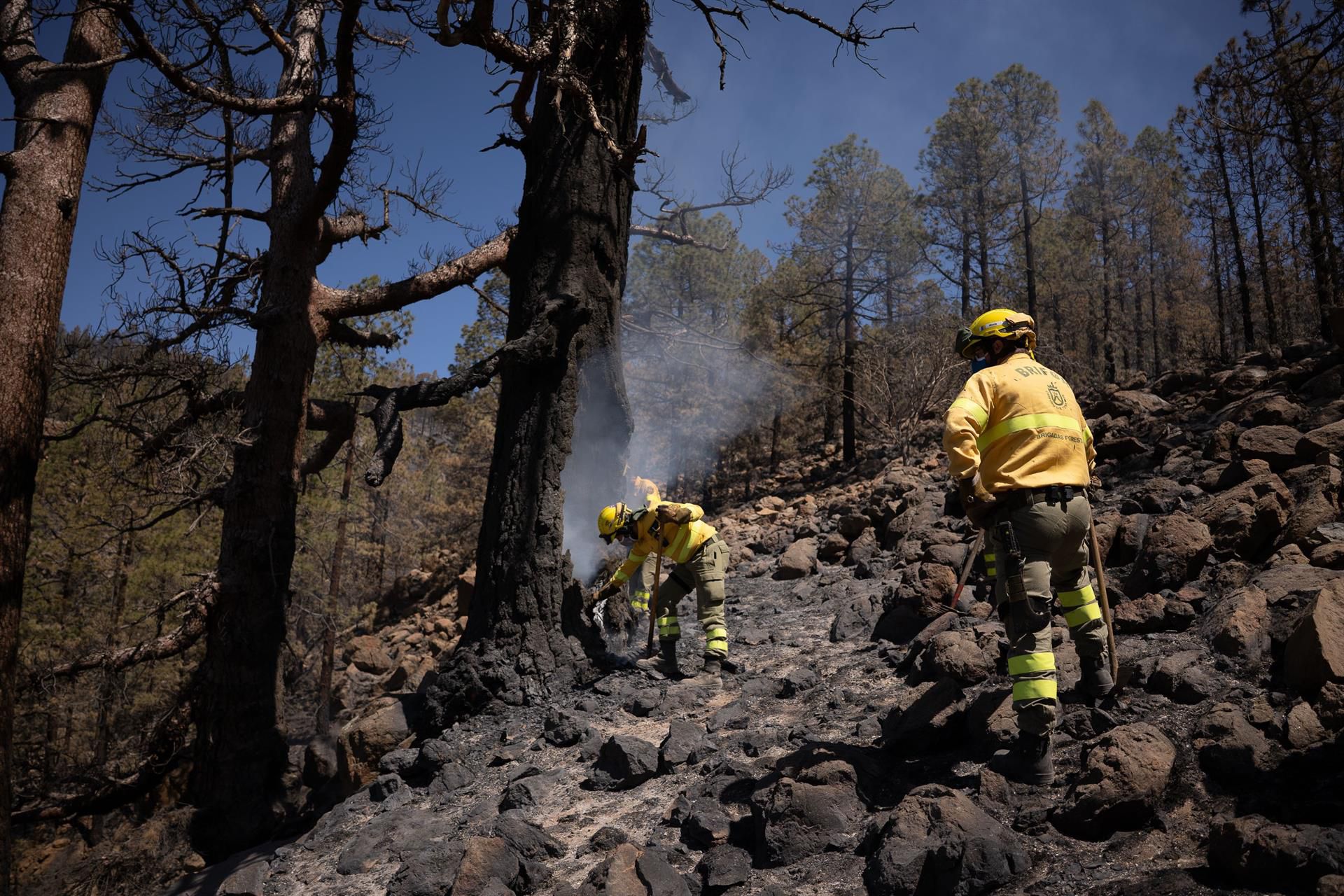Declarada la Alerta máxima por riesgo de incendios forestales en las islas occidentales y Gran Canaria