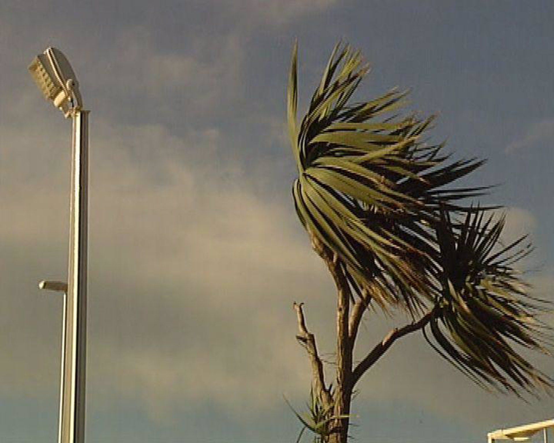 El Gobierno de Canarias declara la alerta por vientos de hasta 90 km/h en La Palma, Tenerife, La Gomera y Gran Canaria