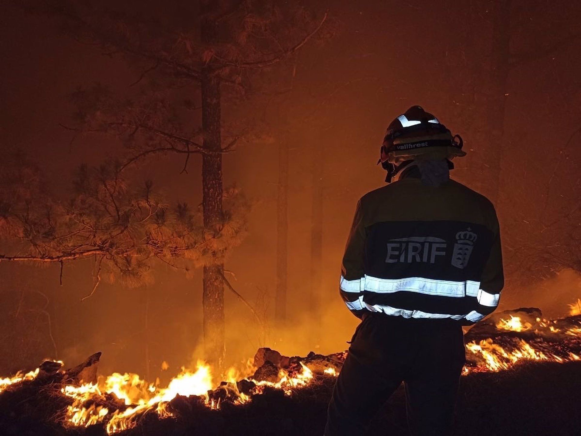 Canarias planifica la campaña de incendios para este verano: 1.401 efectivos, 160 vehículos y 18 medios aéreos