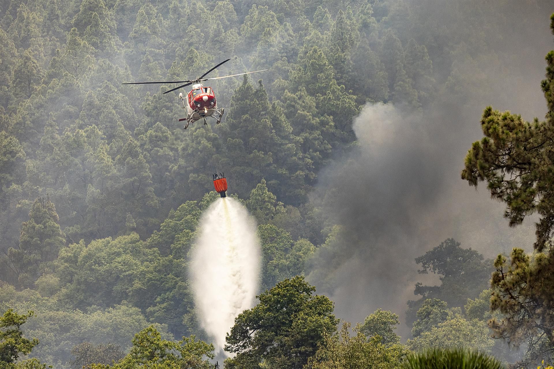 El fuego calcina casi 15.000 hectáreas de Tenerife mientras se atrinchera en los altos de Güímar