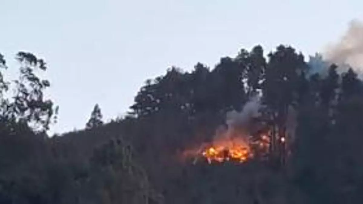 La reactivación del incendio forestal de Tenerife se mantiene en este momento en  nivel 1 y con 2.600 personas evacuadas