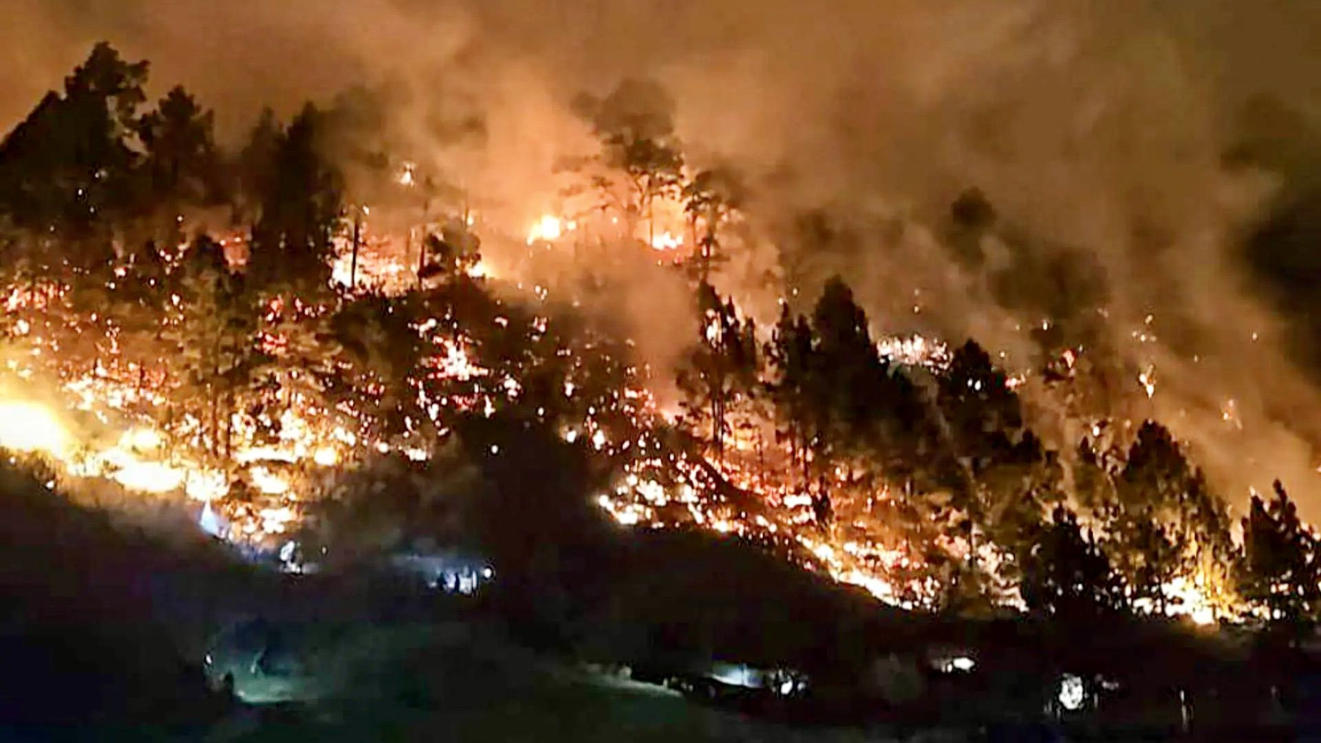 Un conato de incendio forestal obliga a evacuar a unas 200 personas en La Palma