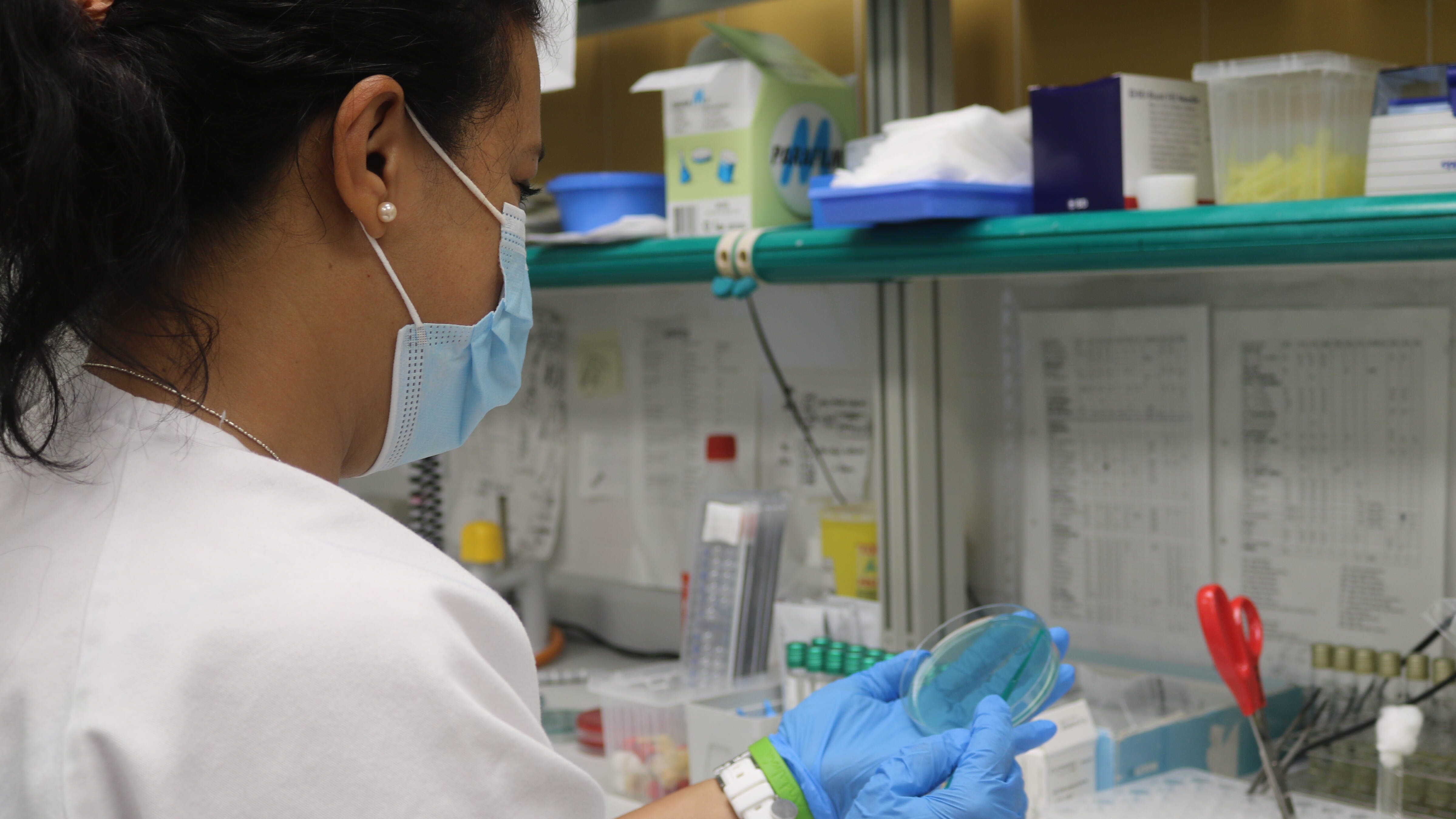Sanidad investiga un brote de toxiinfección alimentaria en Gran Canaria por salmonella